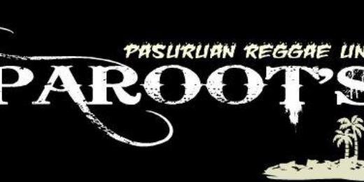 paroots_reggae's profile banner image