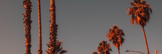 danialhamdan5's profile banner image