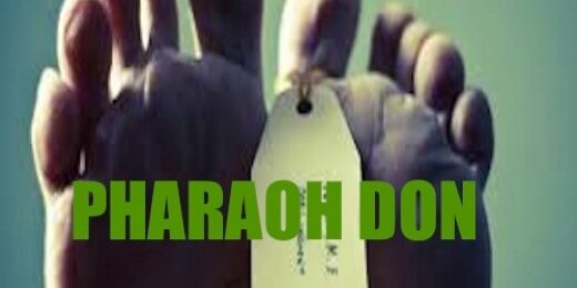 PharaohDon's profile banner image