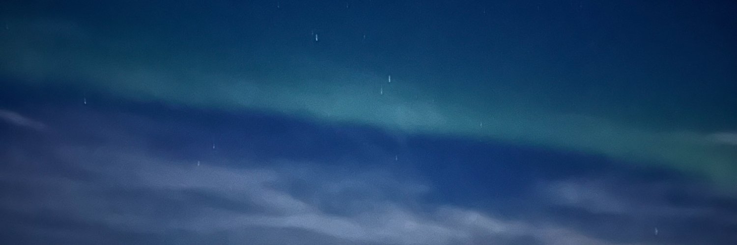 zagni_'s profile banner image