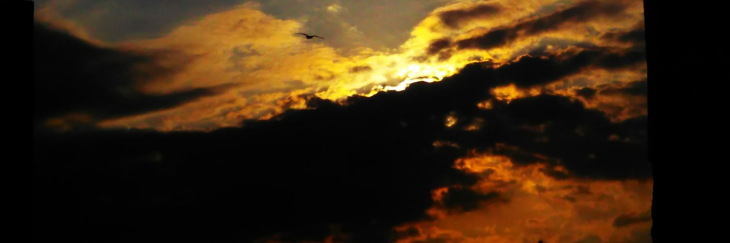 SAM45662's profile banner image