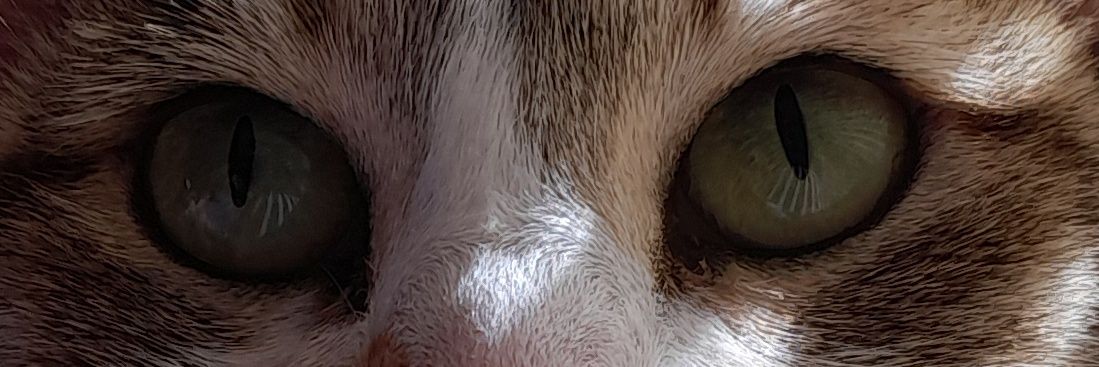 Ing_Lemn's profile banner image