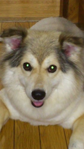 busudaku's profile banner image