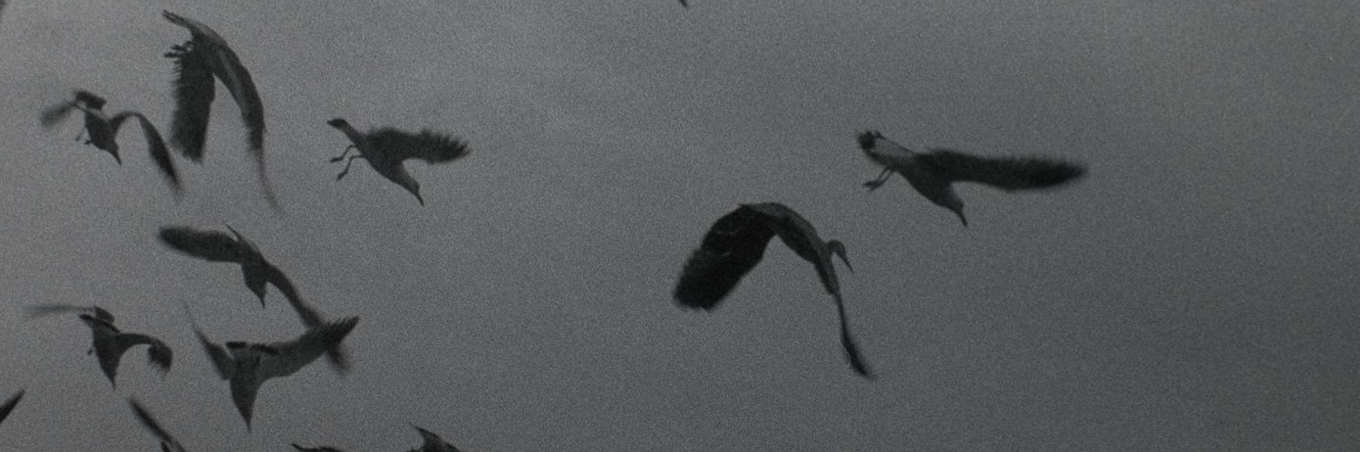 satological's profile banner image