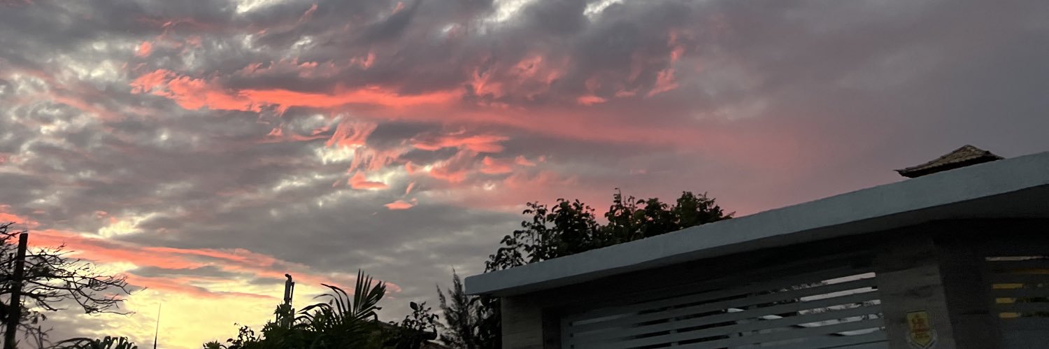 pvicoliveira's profile banner image