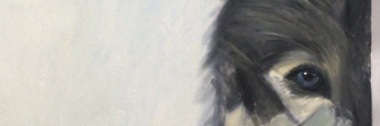 CMORA1111's profile banner image