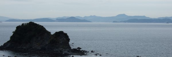 CarolCHinz Profile Banner