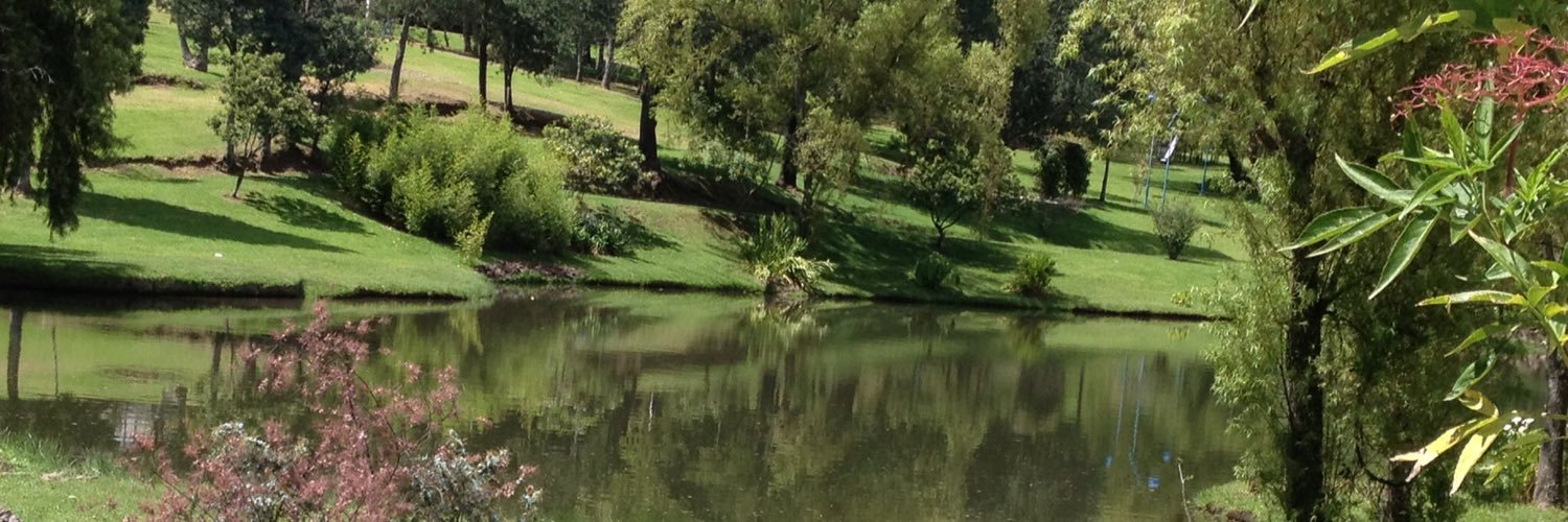 Suedavila's profile banner image