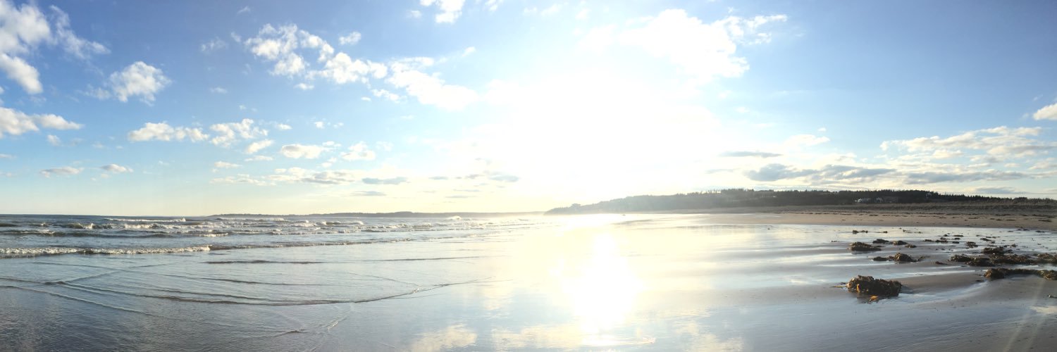 StephhRD's profile banner image