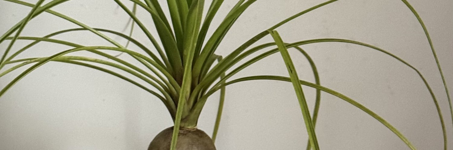 matokiii's profile banner image