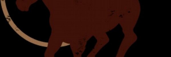 PalominoPool Profile Banner