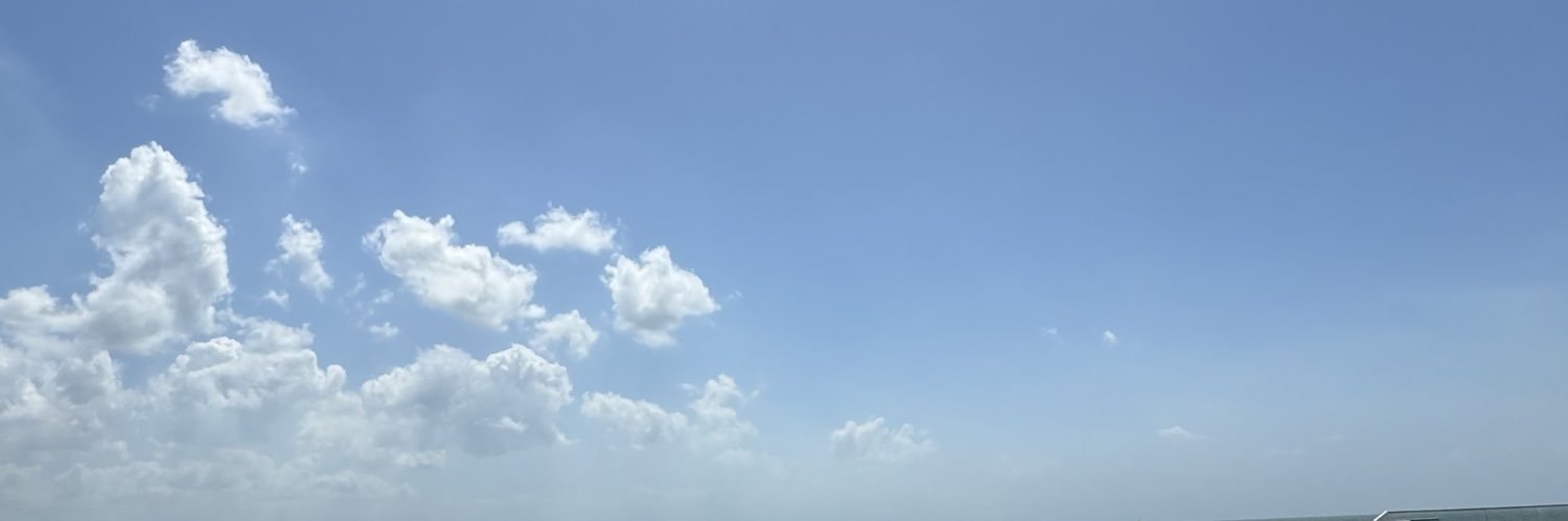 Ashley. 🇹🇹 banner