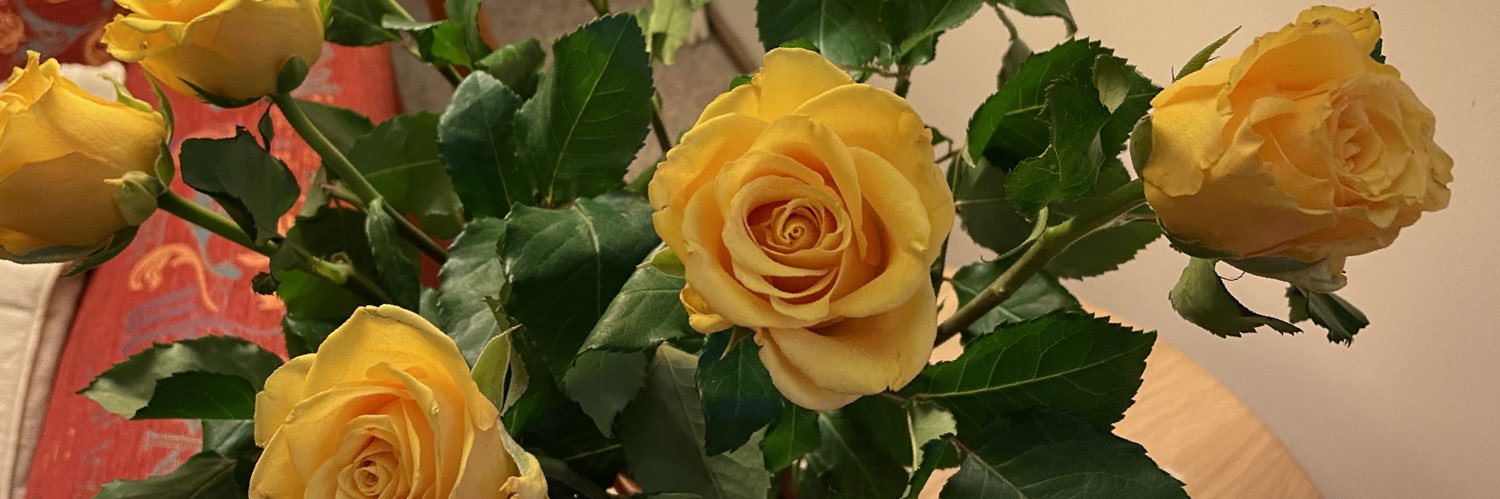 faypirotta's profile banner image