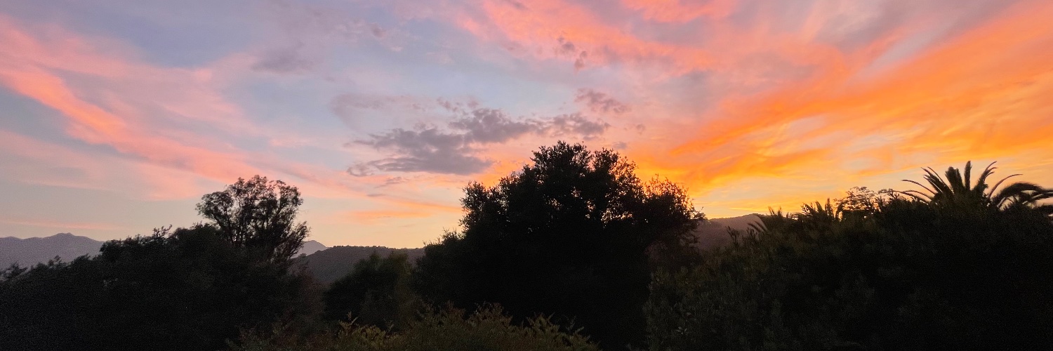 Maybe: Fred Benenson banner