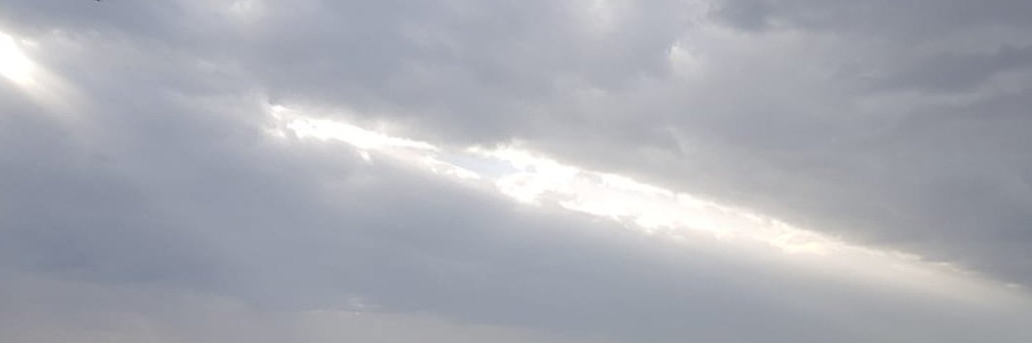 msenak8's profile banner image