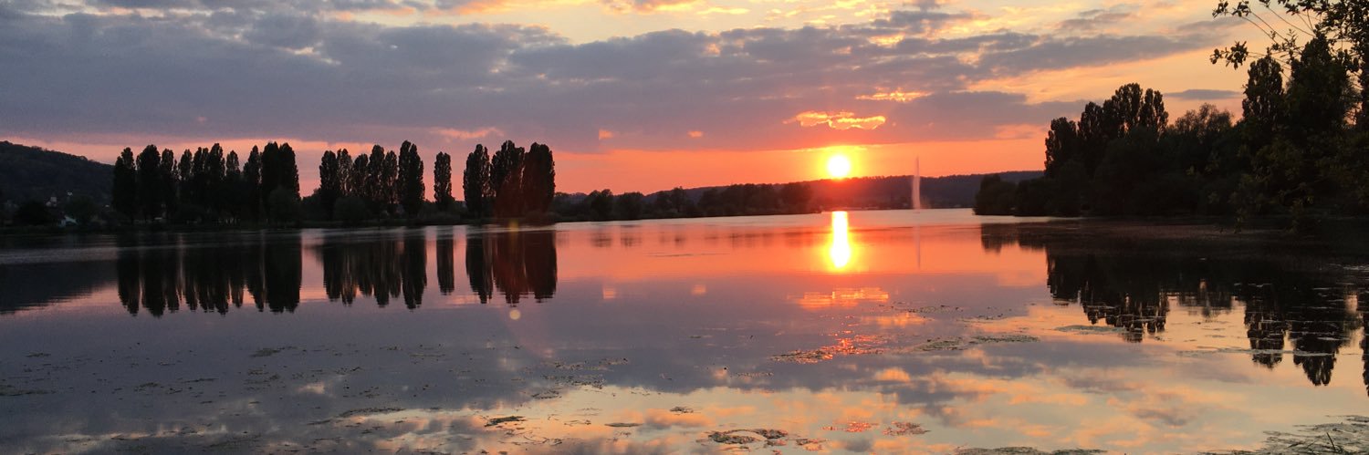 GSemonin's profile banner image