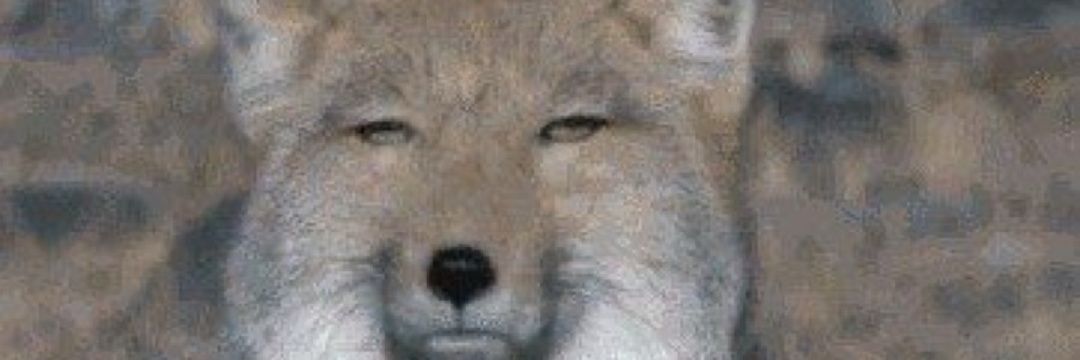 mintopia69's profile banner image