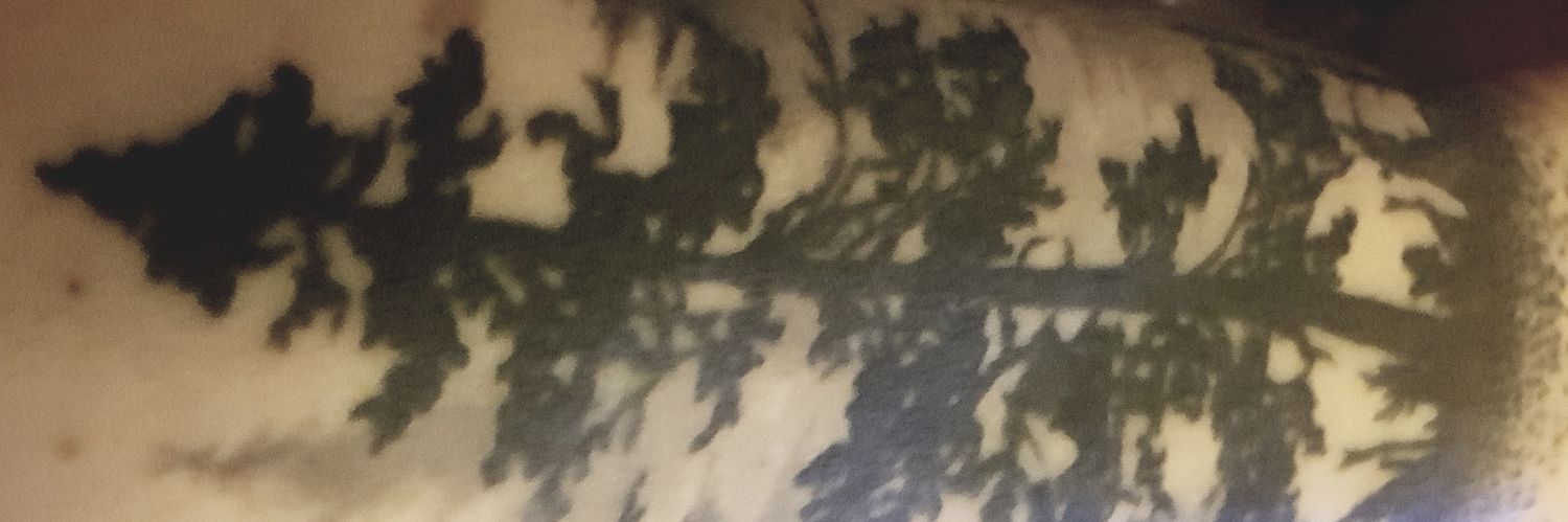 Punktures's profile banner image