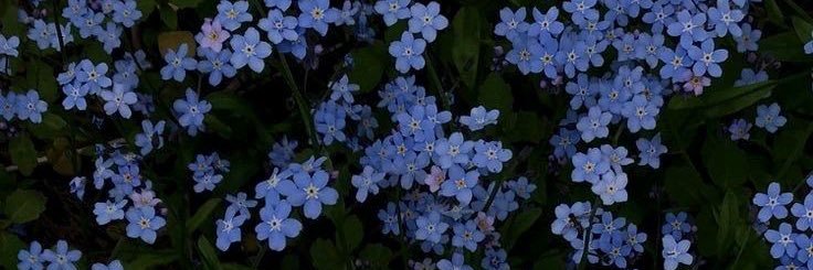 Idalis_Tx's profile banner image