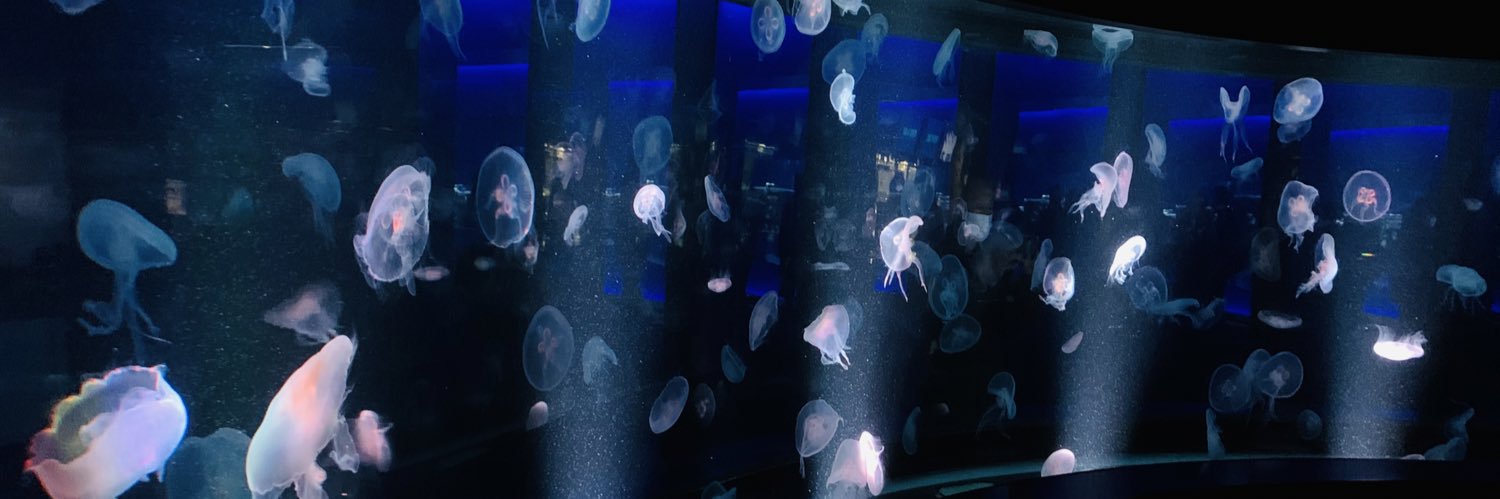 Hmng's profile banner image