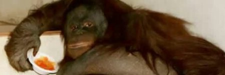 ancientai_ banner