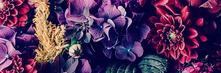 cherishschultzz's profile banner image