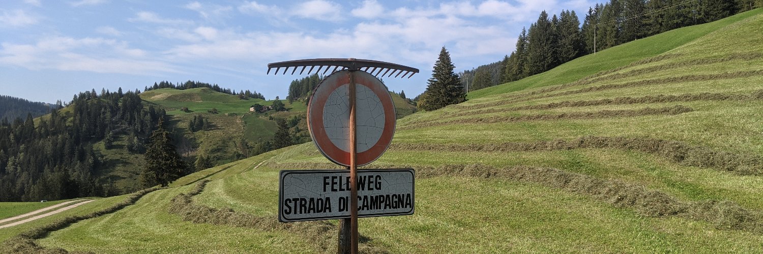 Sofia Biffi banner