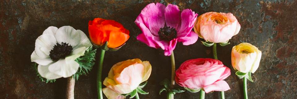caitmalia's profile banner image
