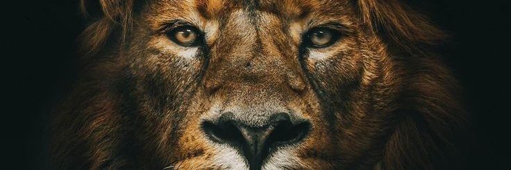 mickel_i's profile banner image