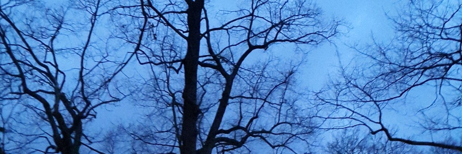 amiraonceagain's profile banner image