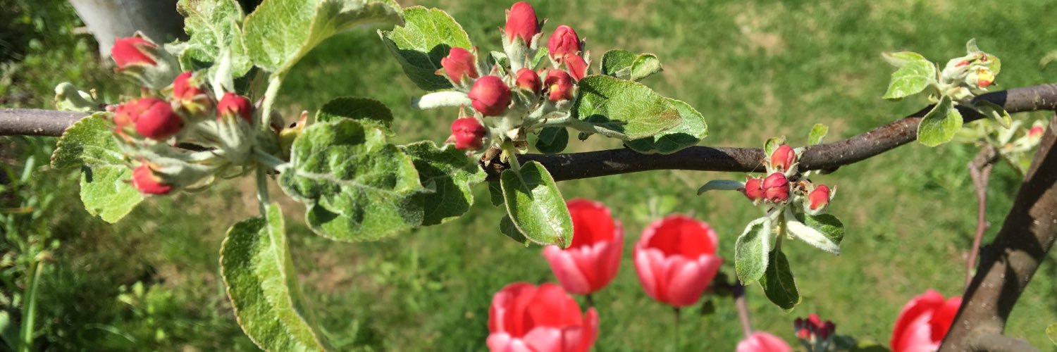 Riitta Väkeväinen banner