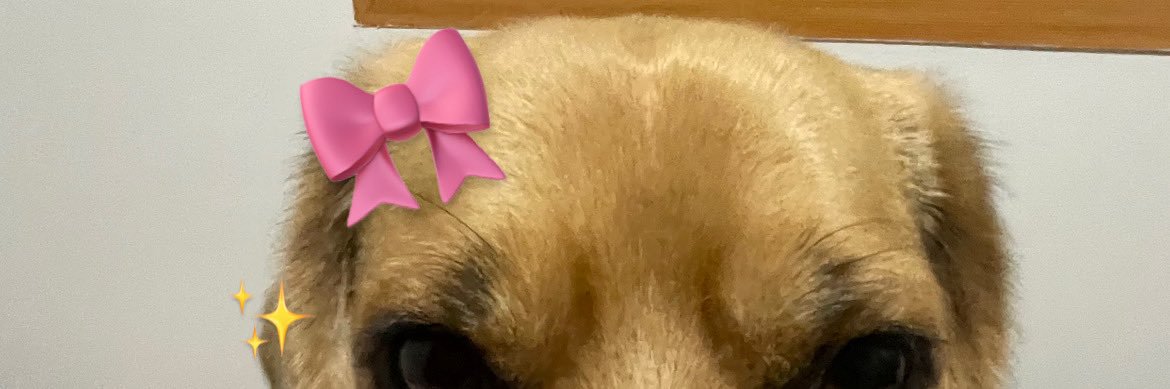 _bxrned's profile banner image