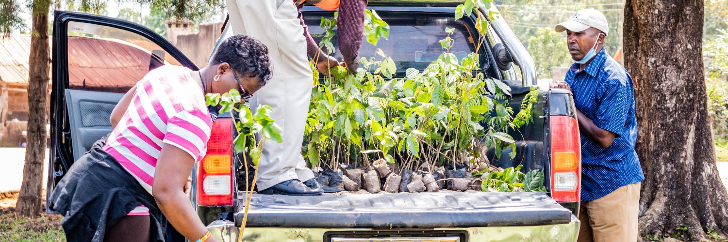 International Tree Foundation banner