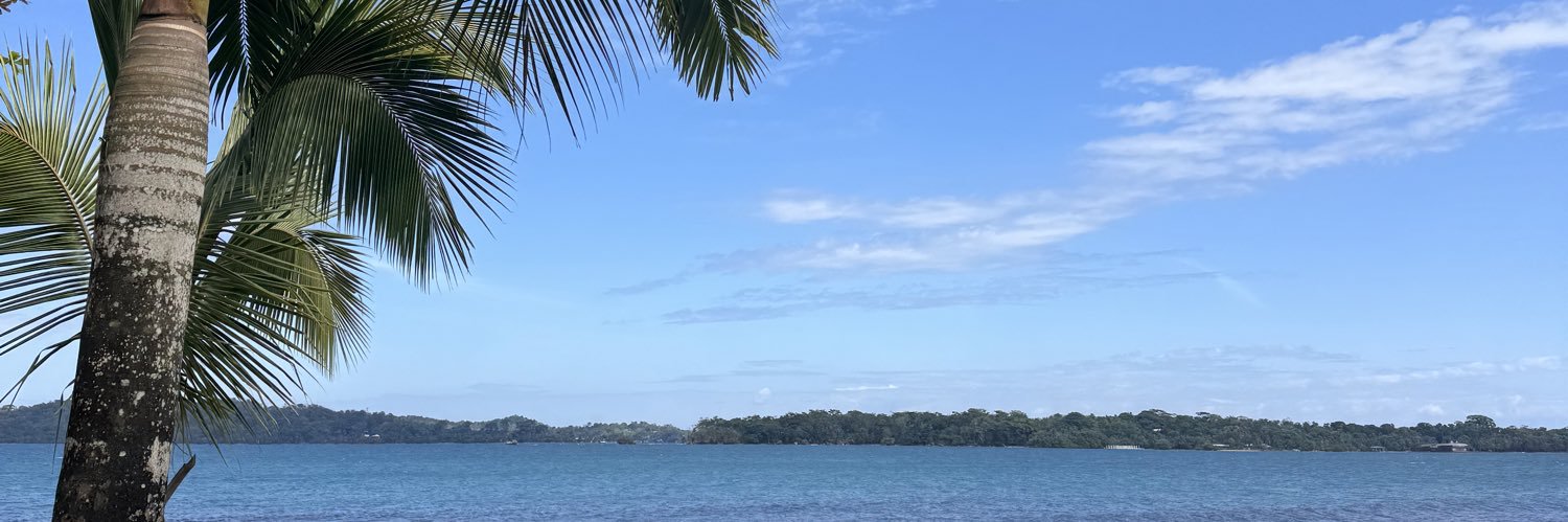 thehippie_'s profile banner image