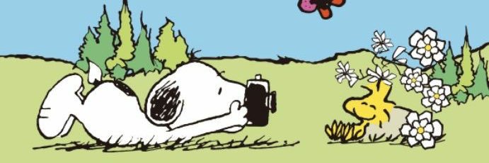 _fuckbailey's profile banner image