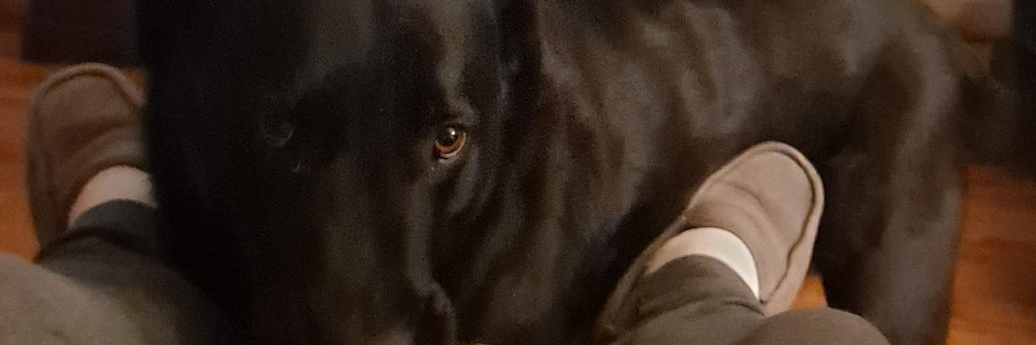 scottdamrill's profile banner image
