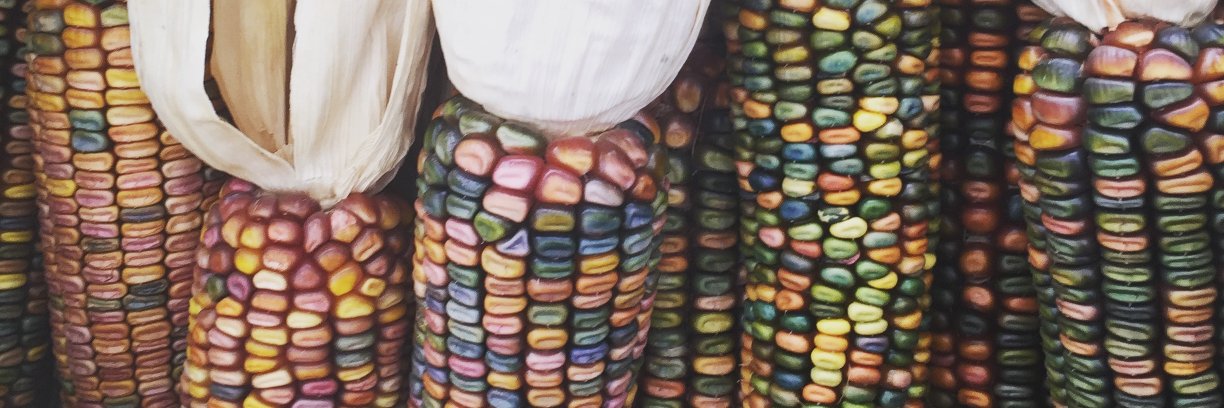 AdrienneEve's profile banner image