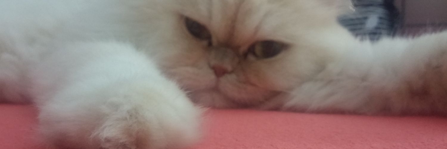 Burcuilerii's profile banner image