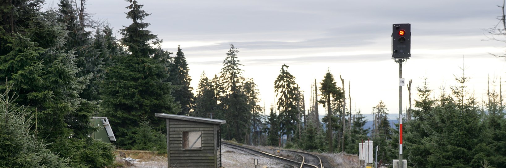 actinous's profile banner image