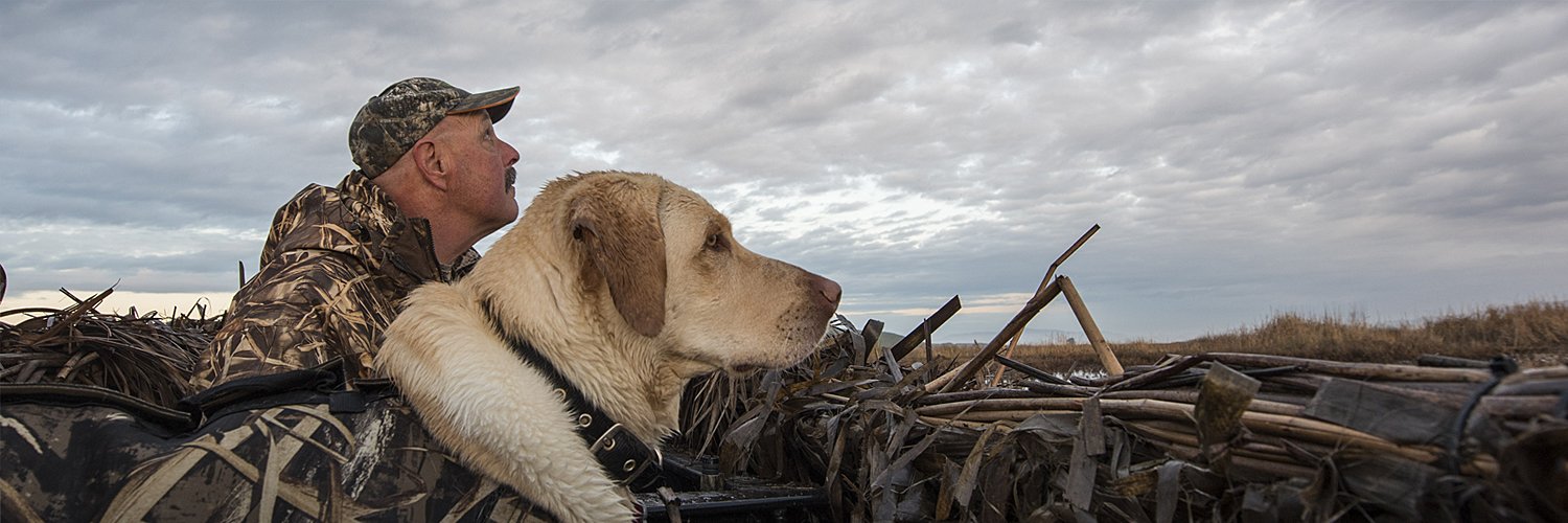 California Waterfowl banner