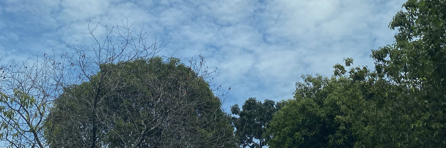 manisgulaliii's profile banner image