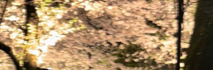 alsyadine's profile banner image