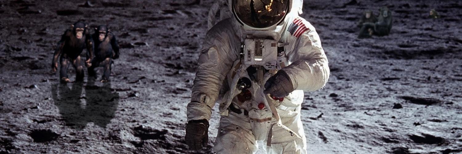 Alien_monkey42's profile banner image