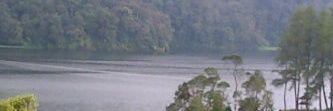 SujaswaraA's profile banner image