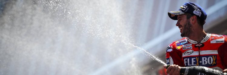 AmandaRidi's profile banner image
