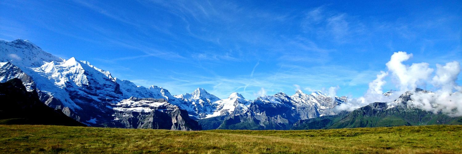 【公式】株式会社ファインミューズ Fine Muse Co., Ltd. banner