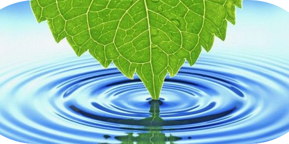 Badem Pınarı banner