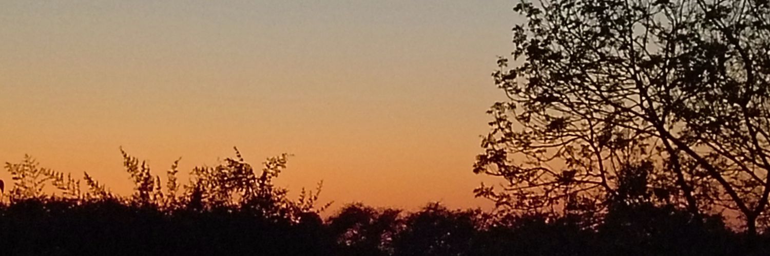 Devil's Advocate banner