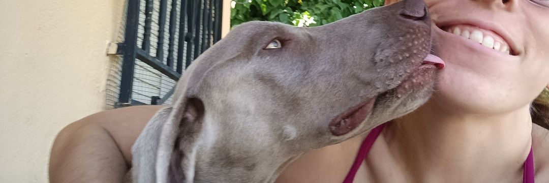 Beatriz Balcázar Chacón banner