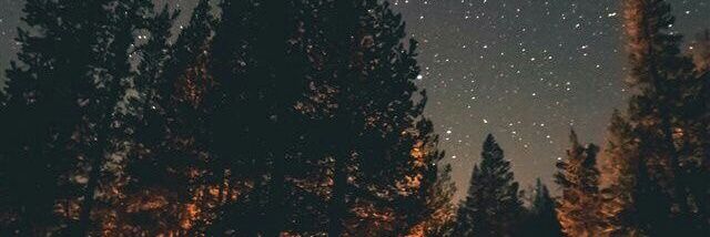 HaticeEroglu6's profile banner image